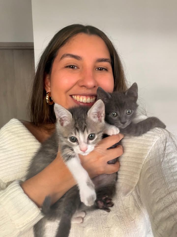 Adopted cat