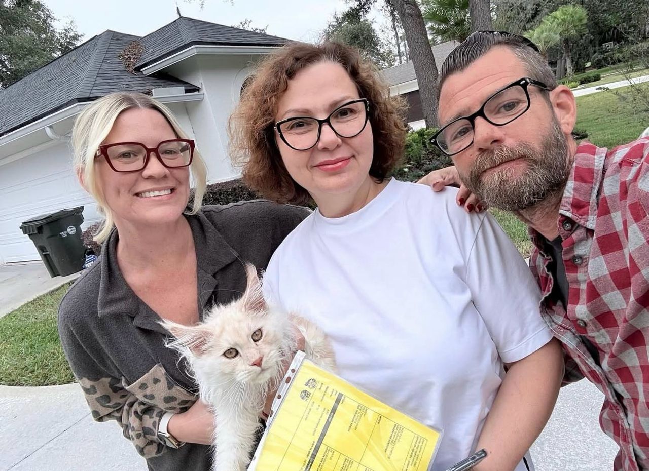 Adopted cat